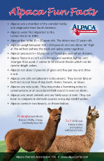 Alpaca Fun Facts