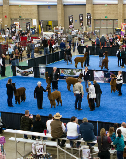 AOA National Show