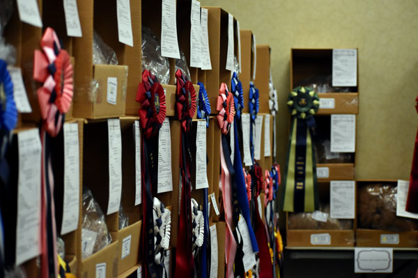AOA National Fleece Show