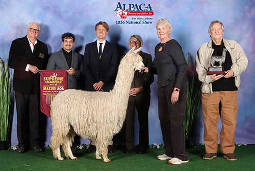 Raynay's Olive by Aladdin