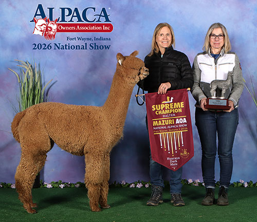 Snowmass Heavenly Bet