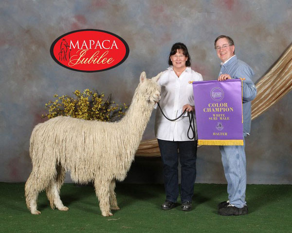 Sonatas Major Theme by Electrofyre