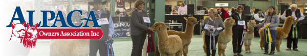 AlpacaGram 5.75