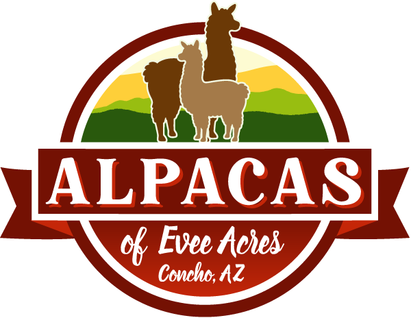 Alpacas of Evee Acres Ranch