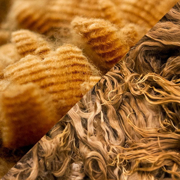 shop raw alpaca fiber directly from farms