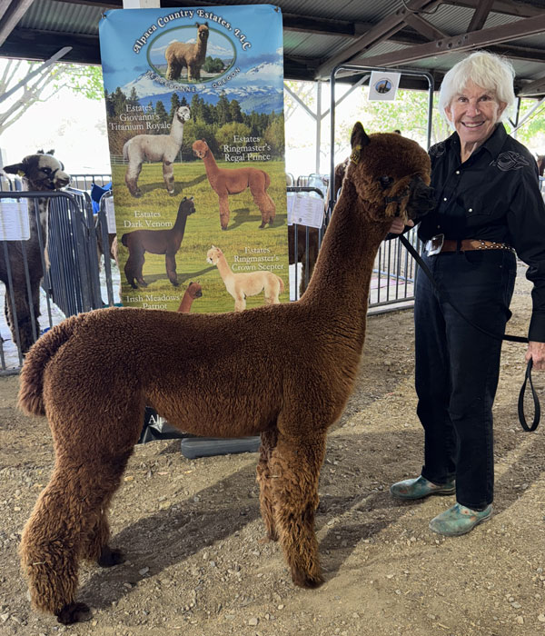 Estates Gibraltar's Miss Carolina