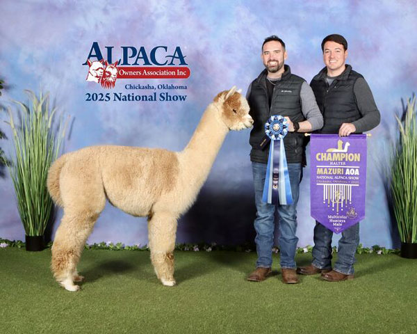 Pine Valley's American Patriot