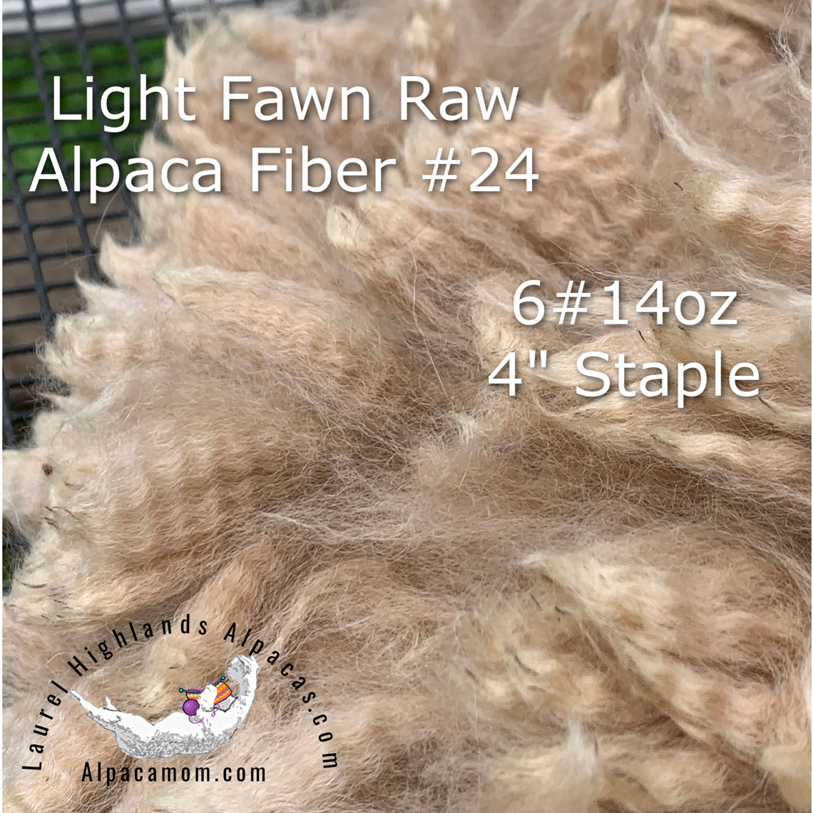 Light Fawn Raw Alpaca Fleece Staple