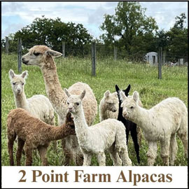 2 Point Farm LLC Logo
