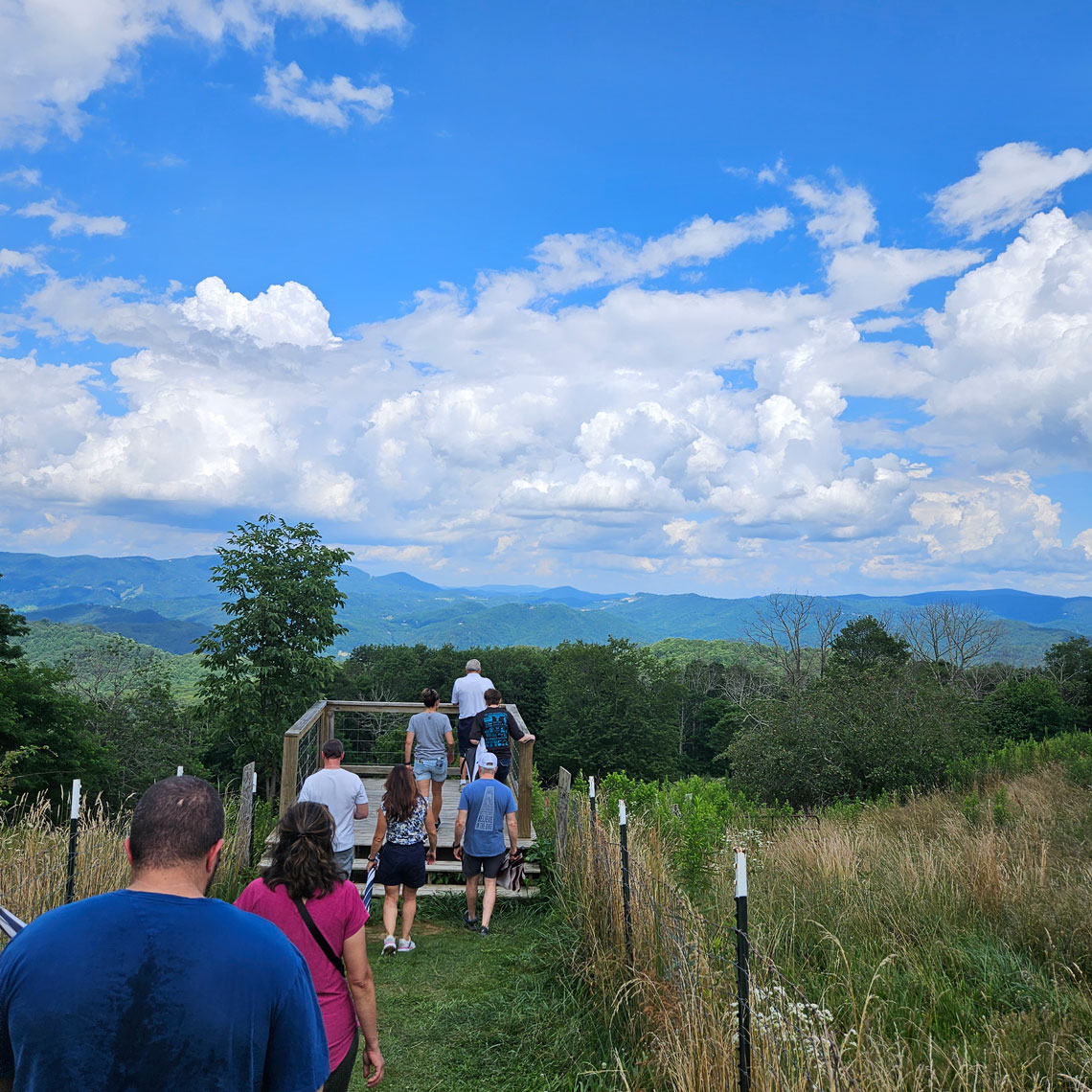 a group of people walking down a sunny pathway that leads to a deck overlooking a long range view of the Blue Ridge Mountains